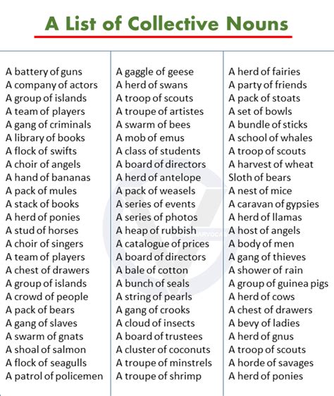 A List Of Collective Nouns In English Pdf Definition And Infographics Grammarvocab