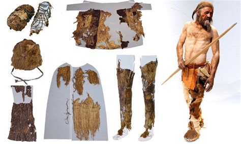 5300 Year Old Iceman Wore A Bear Hat And Goat Leather Coat When He