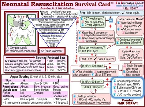 Nrp Study Guide 7th Edition Nrp Study Guide Survival Card Neonatal