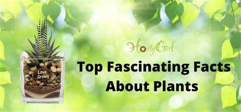Top Fascinating Facts About Plants Horty Girl