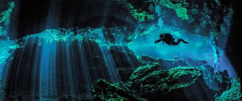 Scuba Diver Wallpaper 4k Underwater