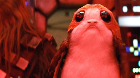 Meet The Adorable Porg Creatures From Star Wars The Last Jedi That