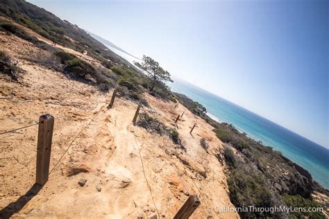 All of the trails are well marked and very easy to walk along. Torrey Pines State Reserve: Hiking Razor Point, Yucca Point & the Beach Trail - California ...