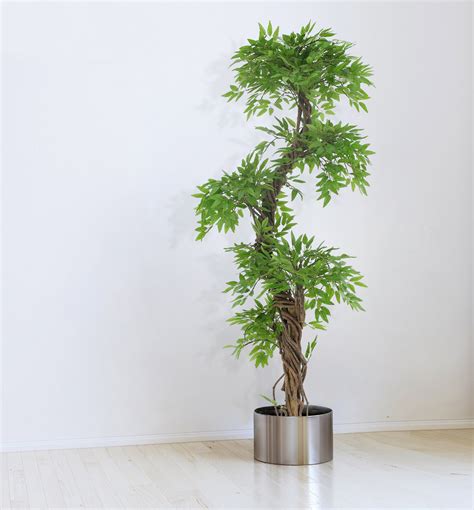 Best Rated In Artificial Trees And Helpful Customer Reviews