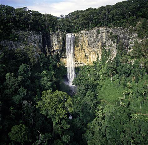 Gondwana Rainforests Of Australia World Heritage Area Qld Section