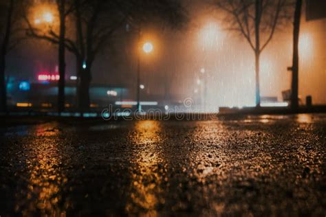 Foggy And Rainy Night In A Park Stock Photo Image Of Street Scene