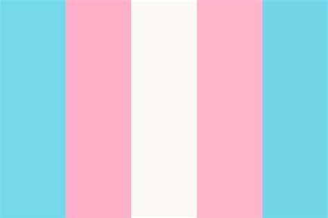The history of the transgender pride flag. Transgender Flag woot woot Color Palette