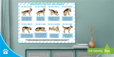 New Understanding Your Dogs Body Language Display Poster