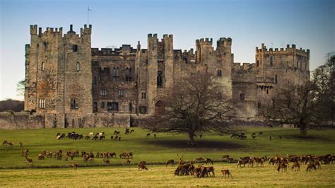 Here are the castle desktop backgrounds for page 2. Raby Castle phone, desktop wallpapers, pictures, photos, bckground images