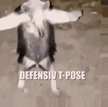 T Pose T Pose Meme T Pose T Pose Meme Defensiv Discover Share