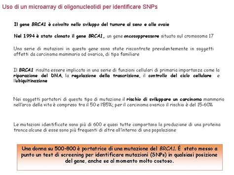 Array Di Oligonucleotidi Questo Tipo Di Array Si