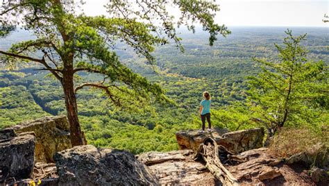 Day Trips From Charlotte Kannapolis Crowders Mountain