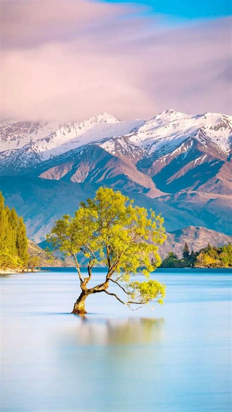 Pin By Saggu On Lockscreen New Zealand Mountains Nature Pictures