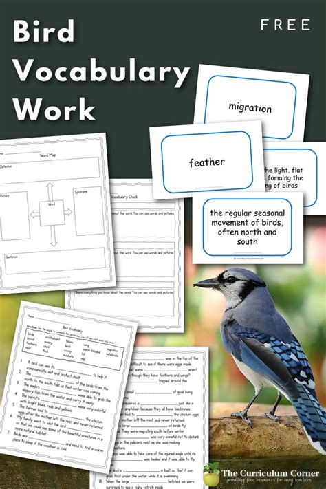 Bird Vocabulary Words The Curriculum Corner 123