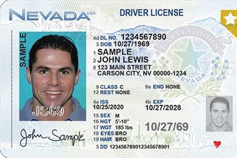 What Info Is On Texas Drivers License Barcode By Scanning Deadpsado