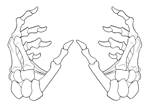 Skeleton Hand Holding Drawing