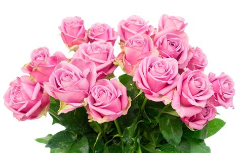 Wallpaper Roses Bouquet Pink Flowers Roses Pink Roses Images For
