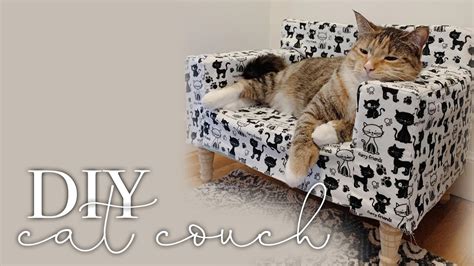 Cat Couch Campestre Al Gov Br