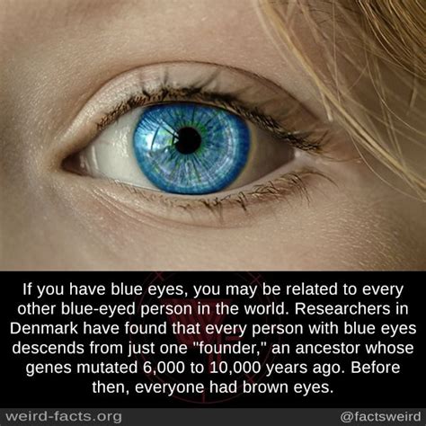 Fun Facts About People With Blue Eyes Fun Guest