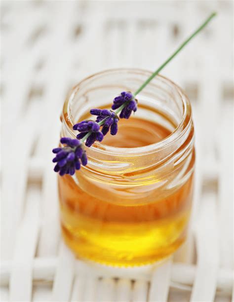 The higher the concentration of the essential. Knoxville's Fast Becoming the Land of Lavender and Honey ...