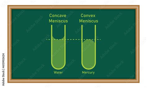 Adhesion And Cohesion Of Water Concave And Convex Meniscus Physics