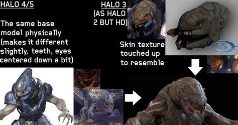 Halo 5 Arbiter Breakdown By Limbiscuit On Deviantart