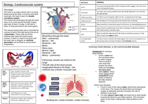 Aqa 9 1 Biology Cardiovascular System Teaching Resources
