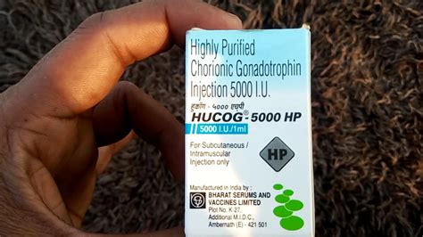 Pubergen Hp 5000 Iu Uses In Hindi Dinomarkon1