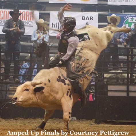 Amped Up Productions Pro Bull Riding Tour Home Facebook