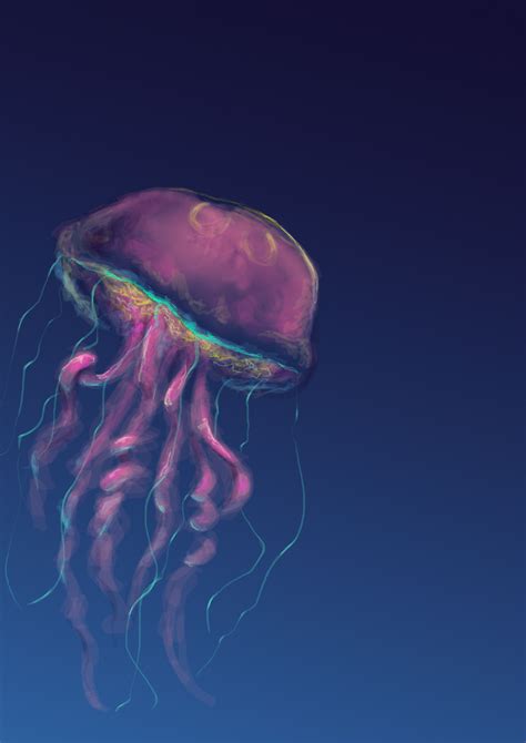Jellyfish By Pthulhu On Deviantart