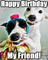 meme for birthday friend | Funny happy birthday wishes, Happy birthday ...