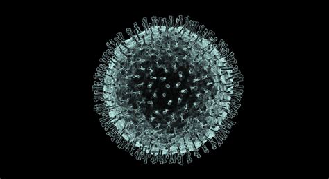 The virus is very serious, please follow the guidance of your local authorities and if you believe you may have symptoms contact them immediately. Understanding coronavirus - CSIROscope