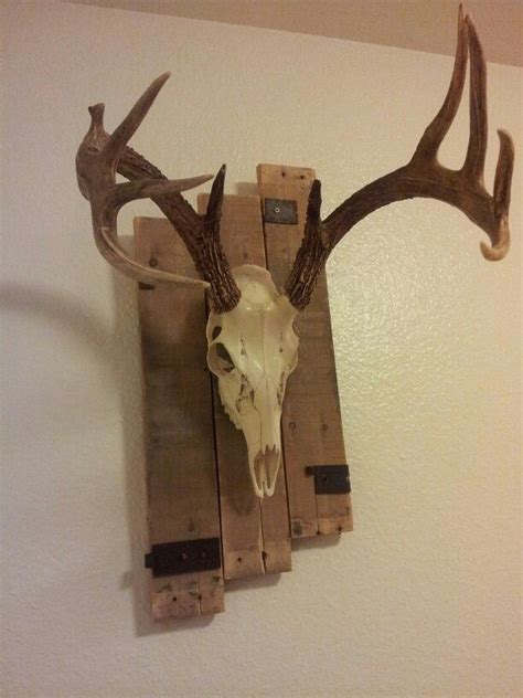 Easy, cost effective way, to honor the animal you killed. Pallet wood european antler mount | European mount, Deer mount decor, Painted deer skulls