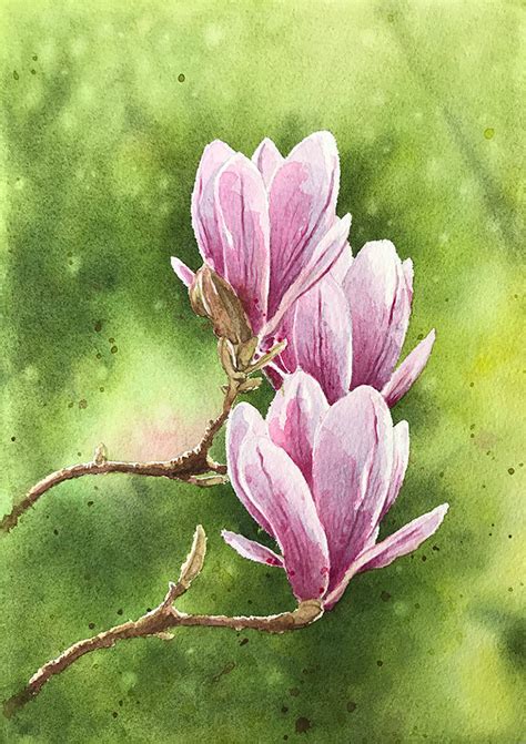 Painting Magnolia Flowers In Watercolor