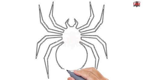 Https://wstravely.com/draw/easy How To Draw A Spider