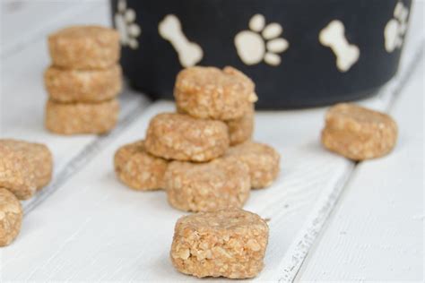 No Bake Puppy Treats Blue Jean Chef Meredith Laurence Recipe