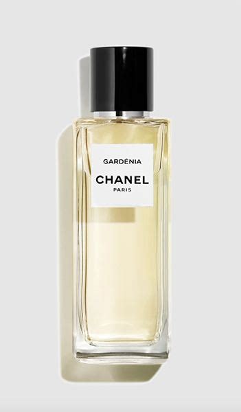 The History Of Chanel Perfume Everything You Need To Know About The