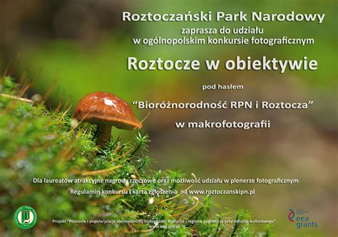 Konkurs Fotograficzny W Roztoczańskim Parku Narodowym Świętokrzyski