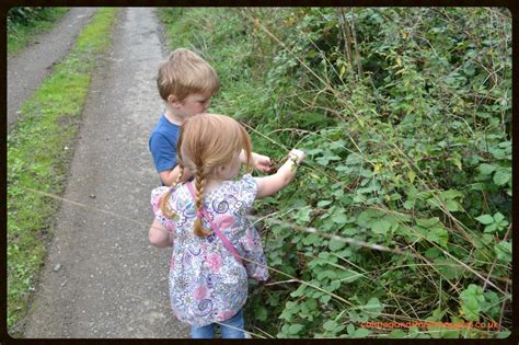 10 Tips For Foraging With Kids