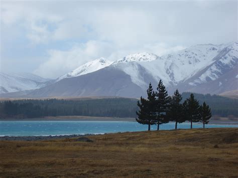 Free Stock Photo Of Lake Pukaki Trees Photoeverywhere