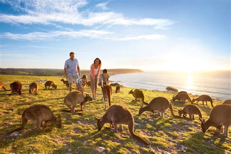Guide To Kangaroo Island Tourism Australia