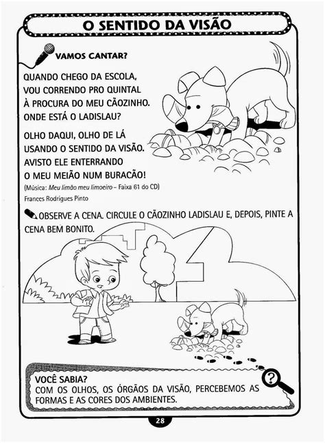 Atividade Orgão Do Sentido Visão Educação Infantil