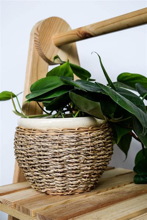 Ivyline Seagrass Wicker Stoneware Indoor Home Planter Plant Pot In