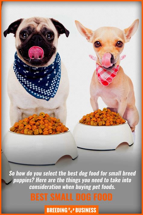 Check spelling or type a new query. 10 Best Dog Foods for Small Dogs - Age, Kibble Size ...