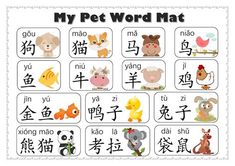 My Pets Animalsword Mat In Mandarin Chinese Teaching Resources