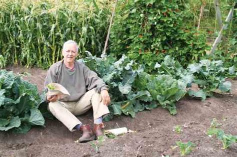 Maybe you would like to learn more about one of these? Homemade Organic Fertilizer Recipe - Food Gardens ...