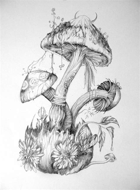 Mushrooms By 6vladimira6 On Deviantart Mushroom Art Art Sketches