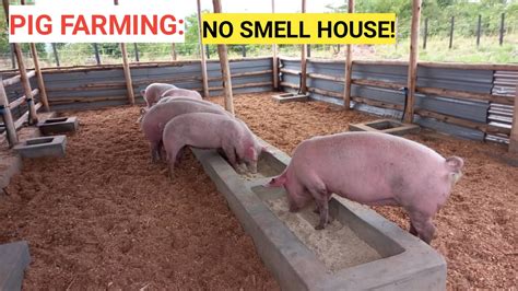 How To Build Pig Farm Flatdisk24