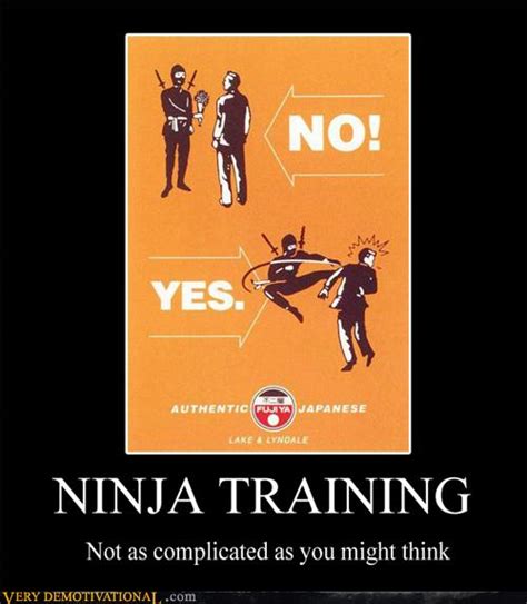 Thanks to feisty pets for sponsoring this video. NINJA TRAINING - Very Demotivational - Demotivational ...