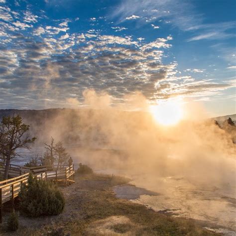 Mammoth Hot Springs Campground Yellowstone National Park